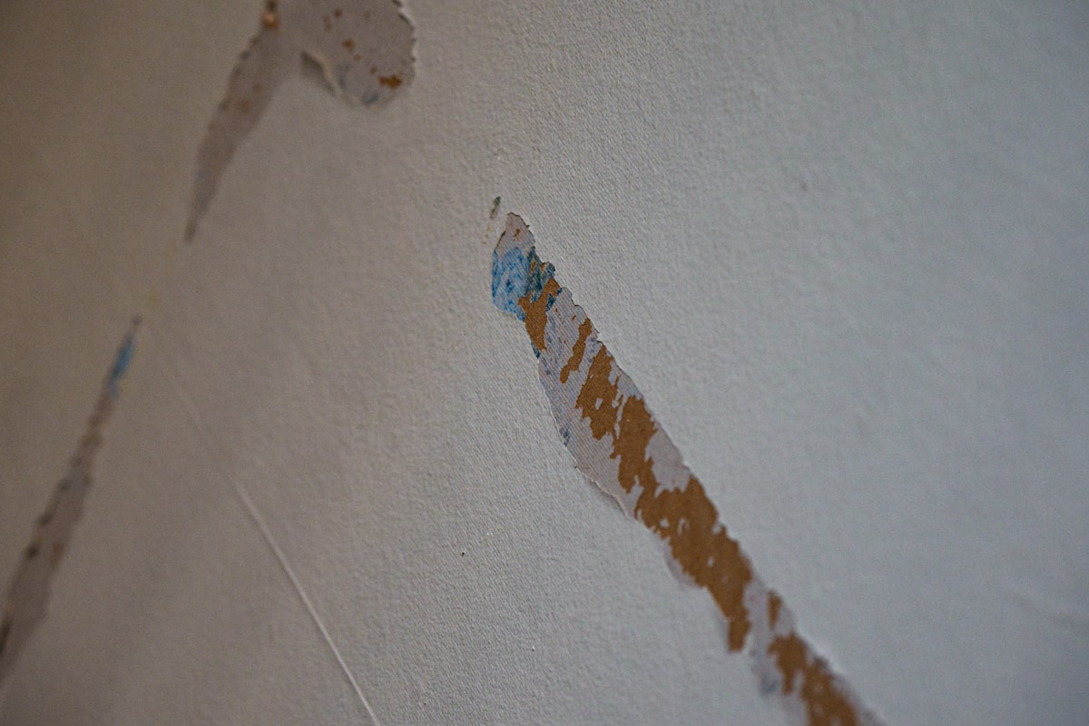 Commercial Water Damage service in Wellington, FL